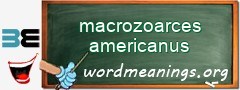 WordMeaning blackboard for macrozoarces americanus